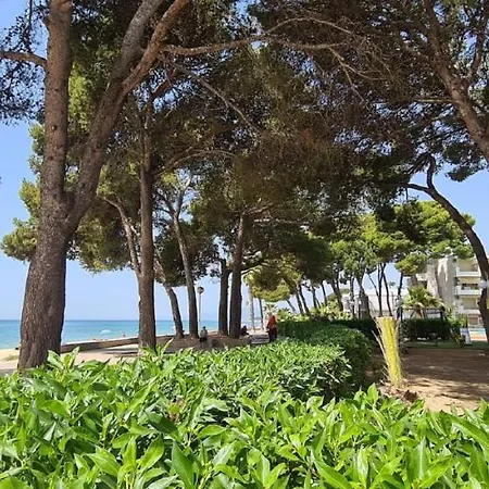 Miramar Serveis - Planta Baja Internacional Apartment *
